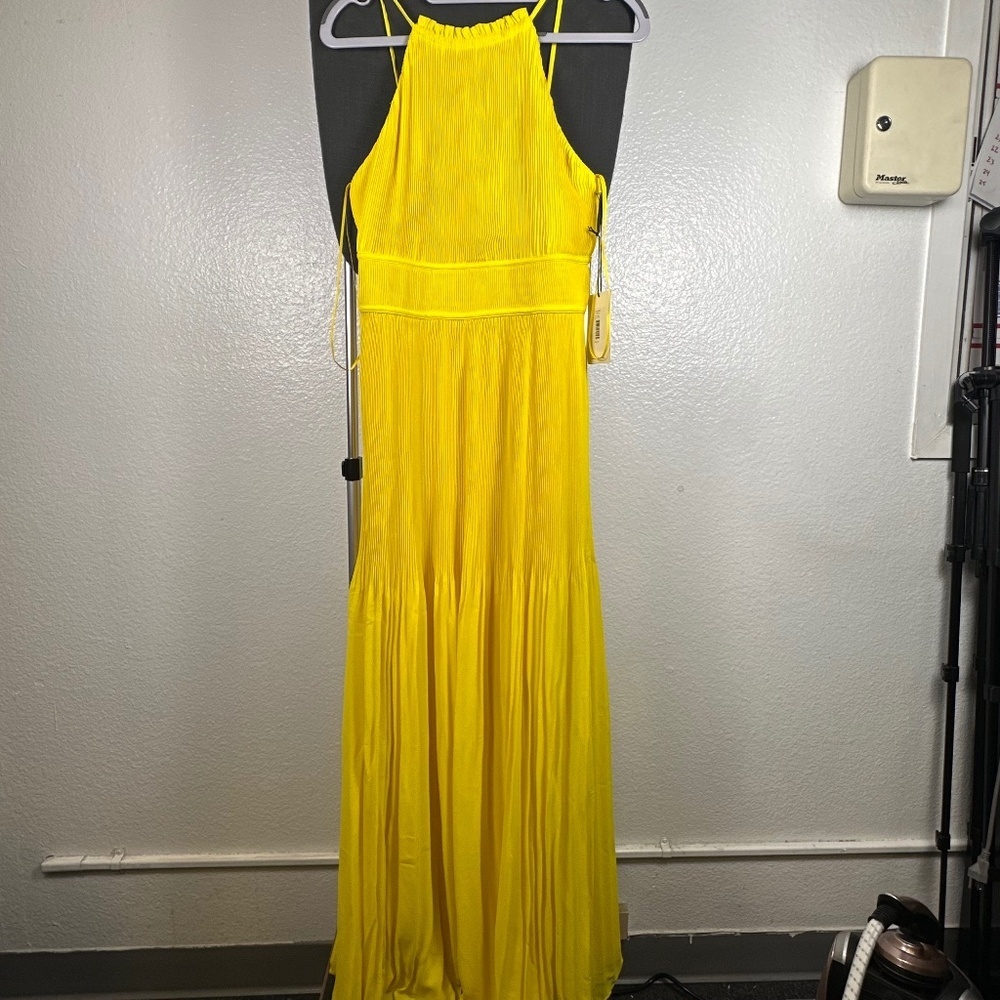 Amur  Garren Pleated Maxi‎ Dress